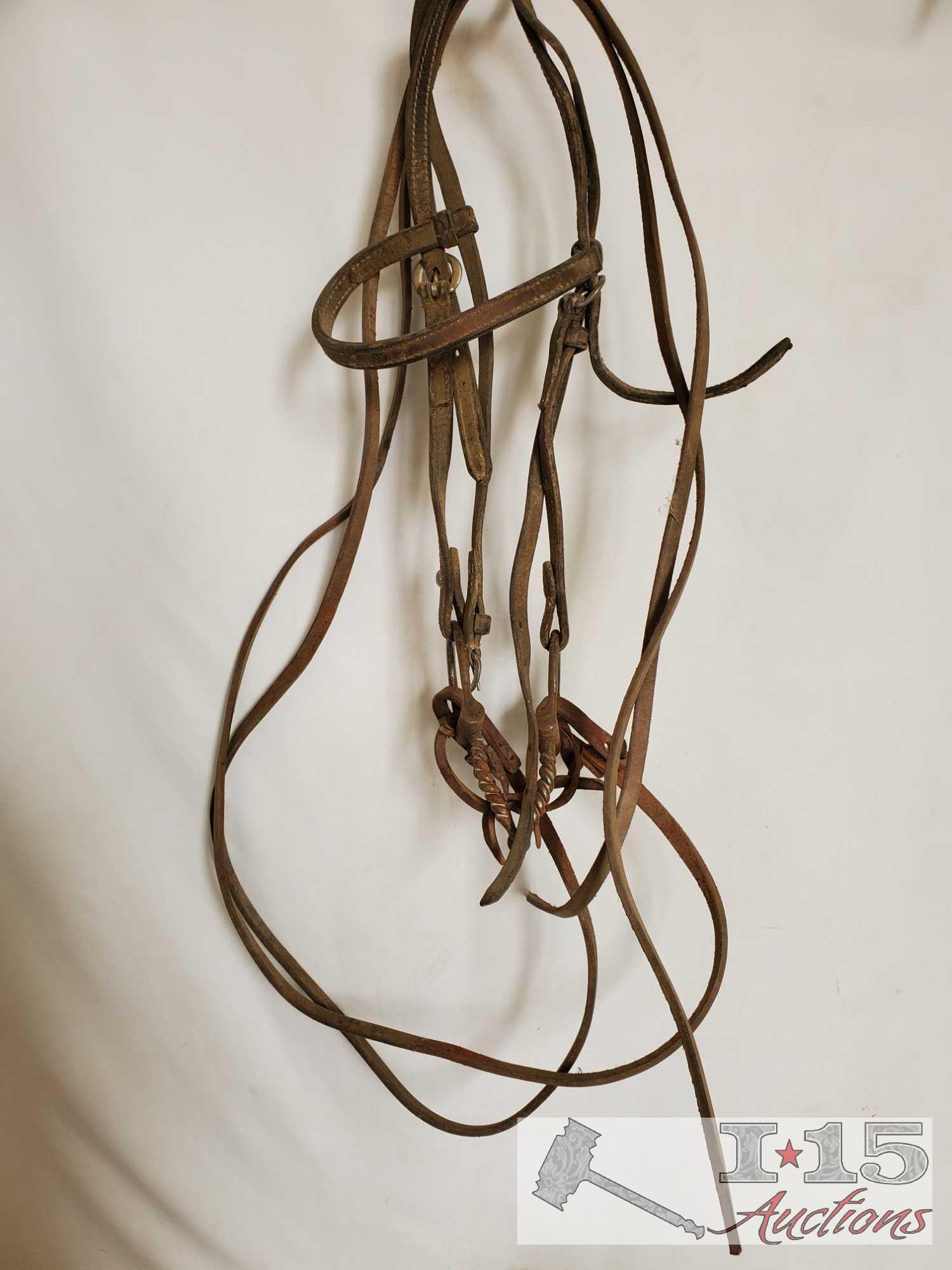 Bridle, Bits, Rawhide Nose Band, Dental Tool and a Donal Horse Perfecter