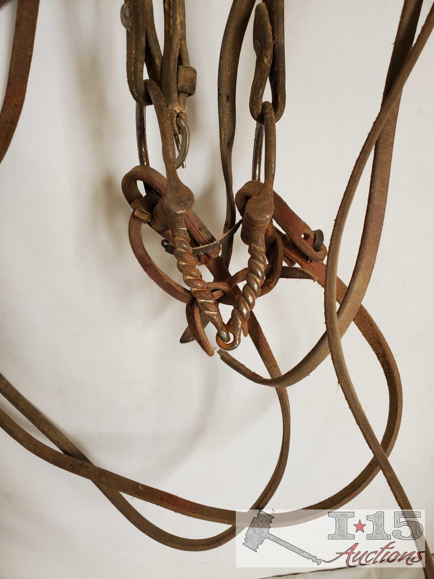 Bridle, Bits, Rawhide Nose Band, Dental Tool and a Donal Horse Perfecter