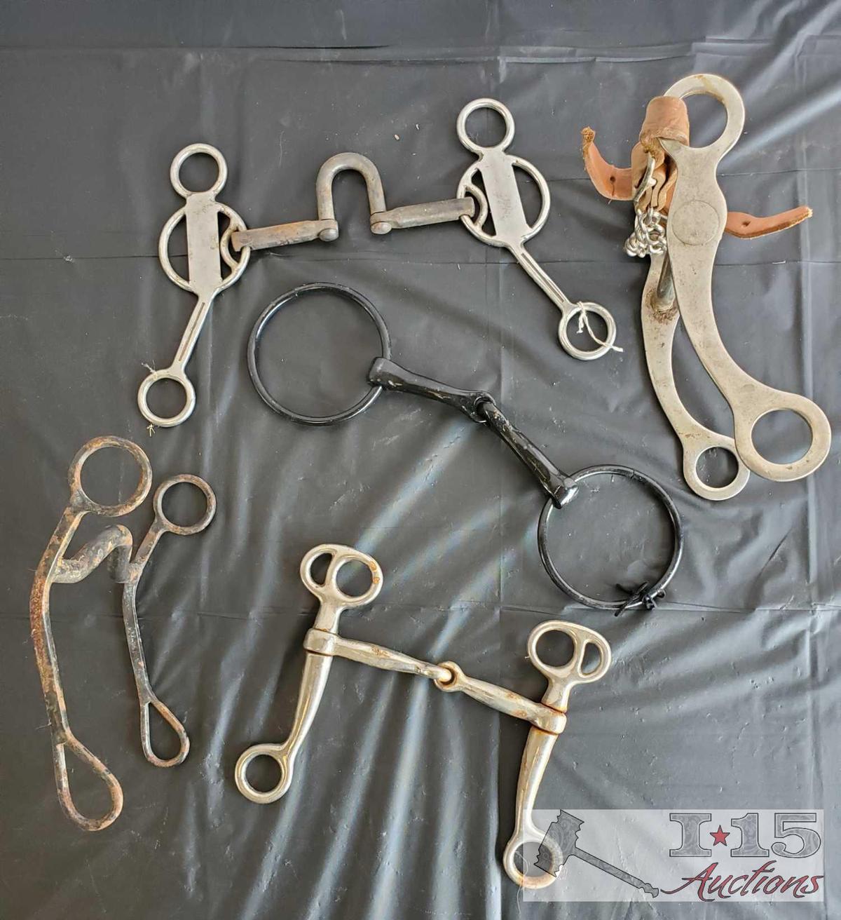 Five bits, Correctional, Curbs and Snafffles