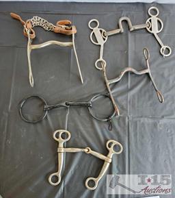 Five bits, Correctional, Curbs and Snafffles