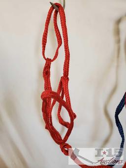 2 Cases of Nylon Over The Head Halters with 6 ft Leads attached