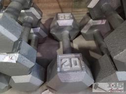 2lb-20lb Weights