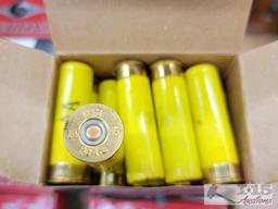 250 Rounds of 20GA