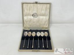 Mini Spoon Collection in Case