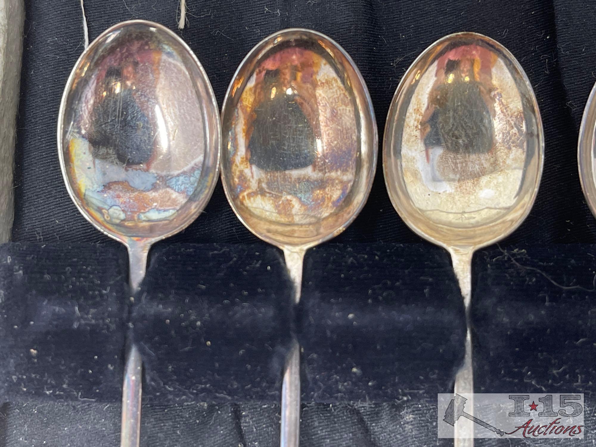 Mini Spoon Collection in Case
