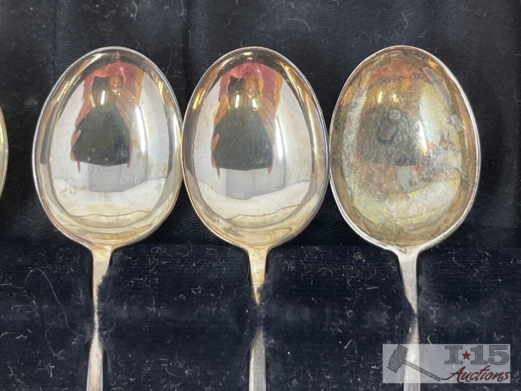 Mini Spoon Collection in Case