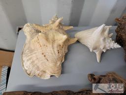 Sea Shells and Wood Decorations