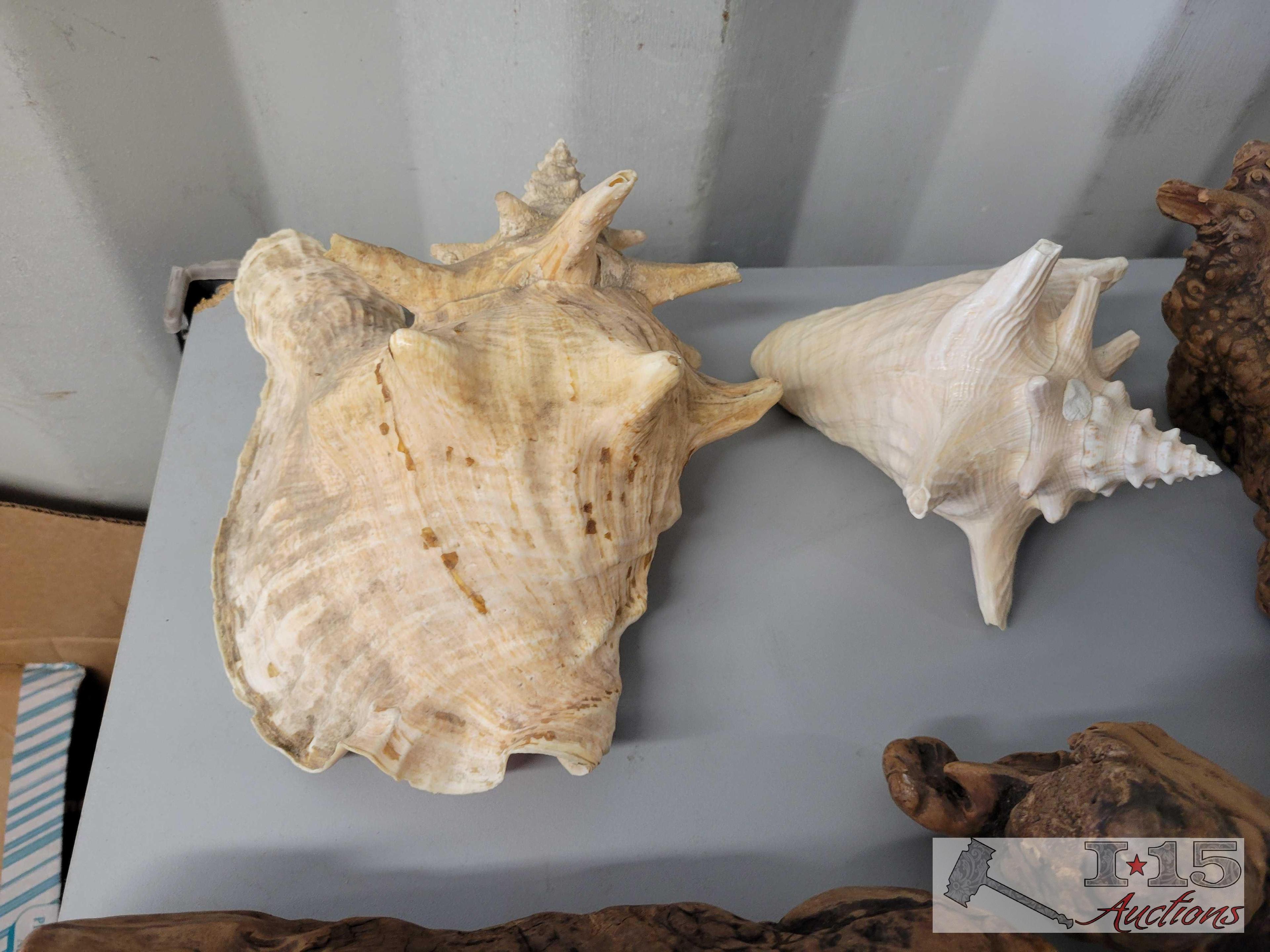 Sea Shells and Wood Decorations