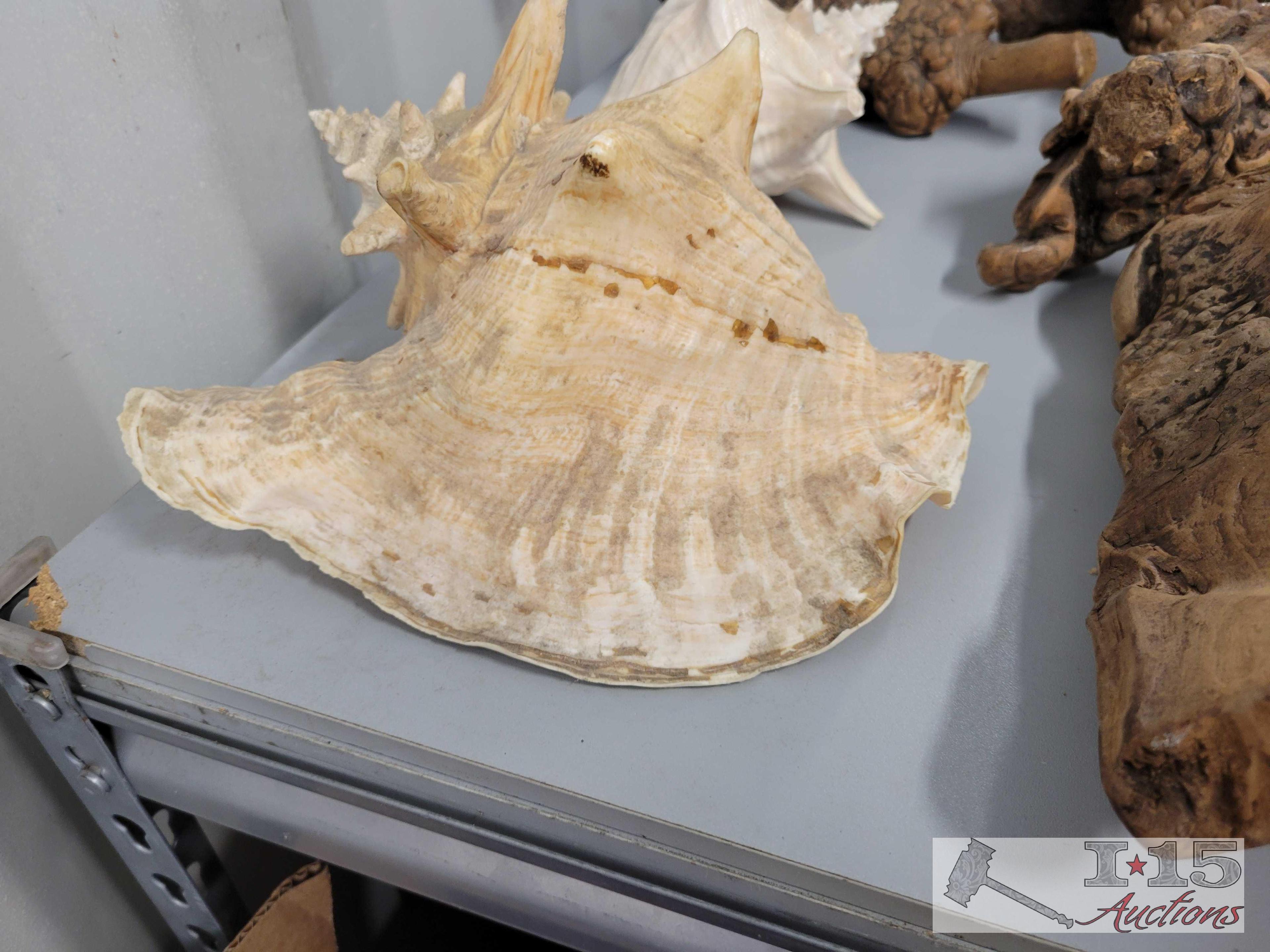 Sea Shells and Wood Decorations