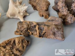 Sea Shells and Wood Decorations