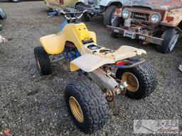 Suzuki Quad