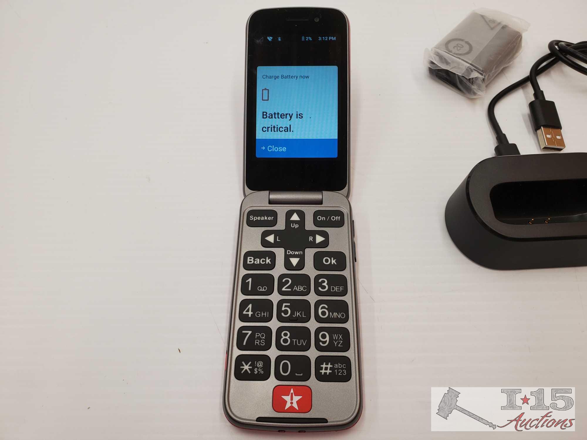 Lively Flip Phone (4053S)