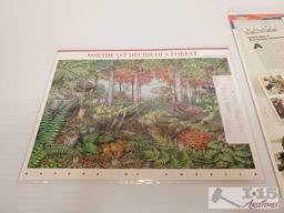 Stamp Collection