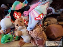 Beanie Babies Collection