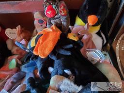 Beanie Babies Collection