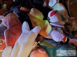 Beanie Babies Collection