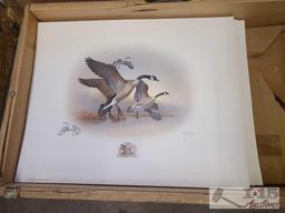 Approx (600) Ronald Louque Duck Stamp Prints