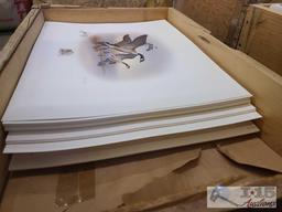 Approx (600) Ronald Louque Duck Stamp Prints