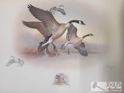 Approx (600) Ronald Louque Duck Stamp Prints