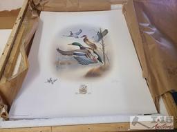 Approx (600) Ronald Louque Duck Stamp Prints