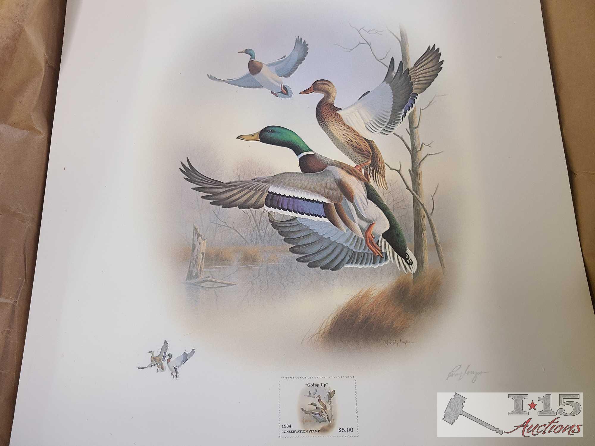 Approx (600) Ronald Louque Duck Stamp Prints