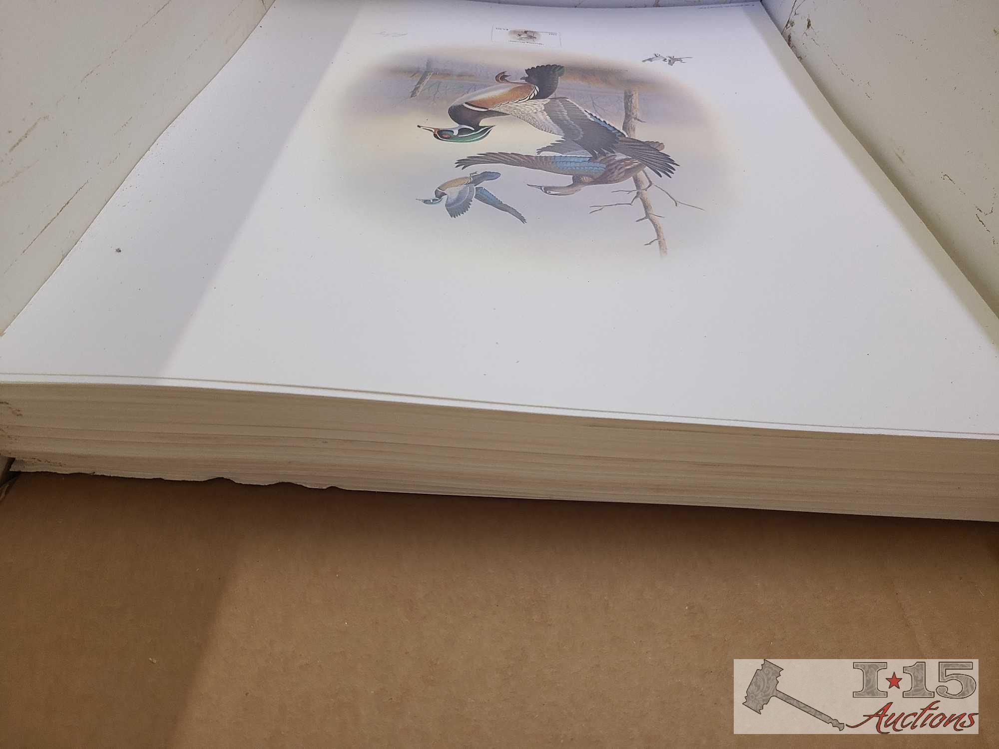 Approx (600) Ronald Louque Duck Stamp Prints