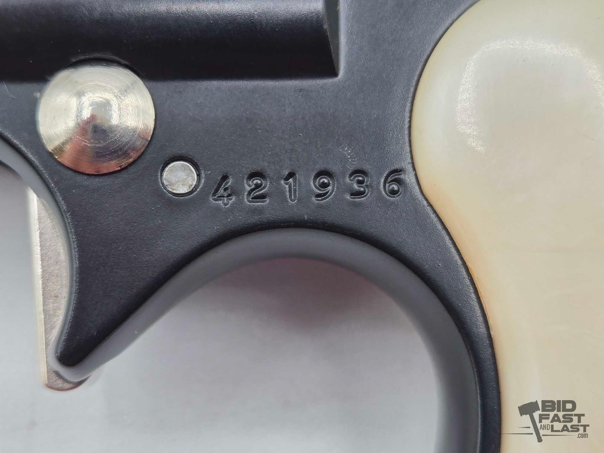Davis Industries D-22 .22lr Derringer