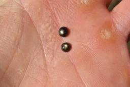 1.98 Carat Matched Pair of Star Sapphire