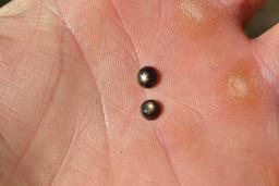 1.98 Carat Matched Pair of Star Sapphire