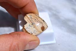 24.81 Carat Heart Shaped Scenic Jasper