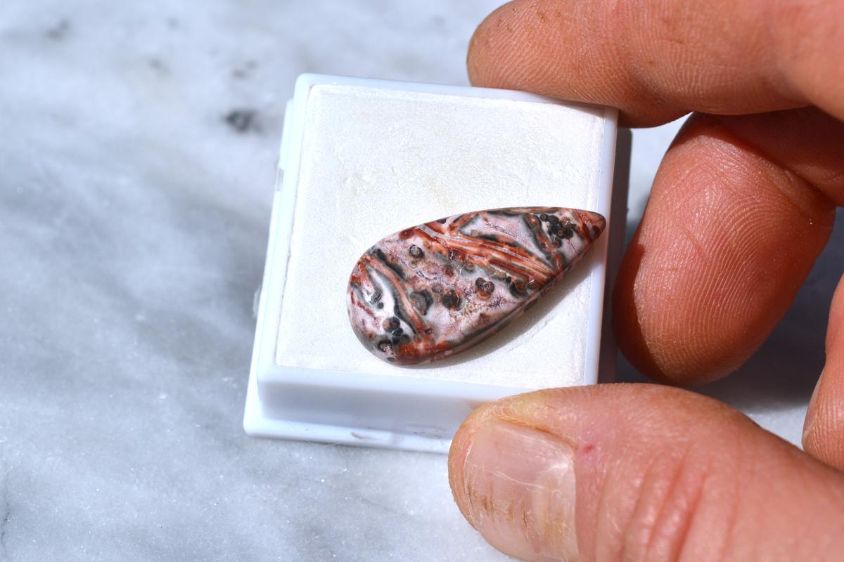 12.48 Carat Gorgeous Jasper Cabochon