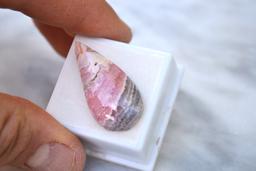 44.93 Carat Pear Shaped Rhodochrosite