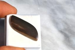 16.38 Carat Fine Fruited Jasper