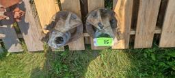 Pair of Hubs