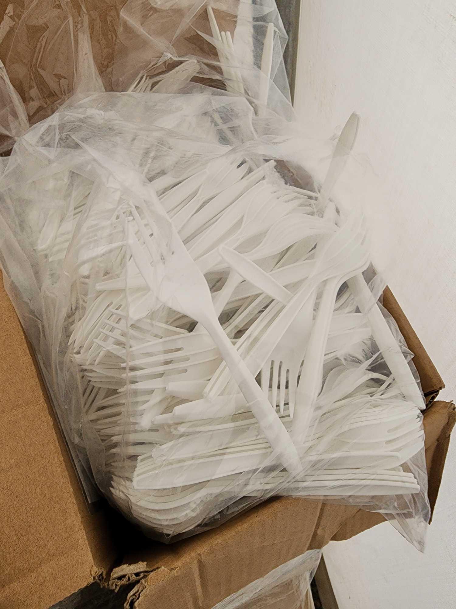 Group of Disposable Food Service Supplies