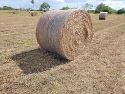 (50) Rolls of Hay (50 x's the $Money or Choice of Quanity)