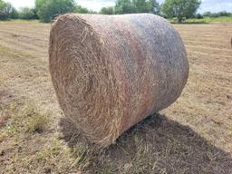 (50) Rolls of Hay (50 x's the $Money or Choice of Quanity)