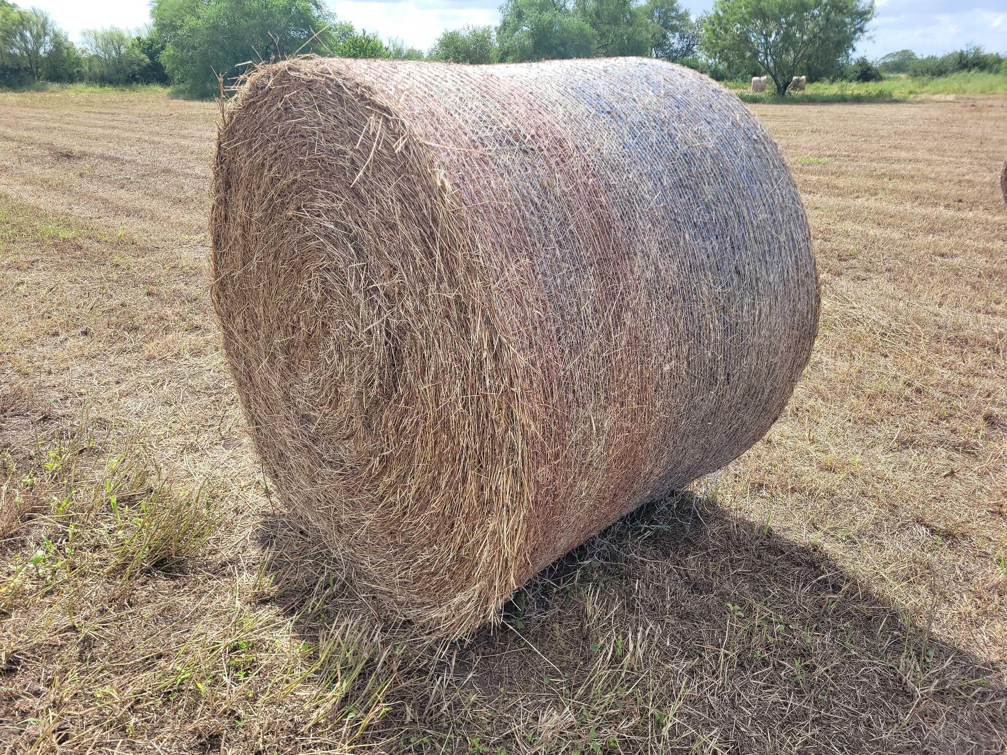 (50) Rolls of Hay (50 x's the $Money or Choice of Quanity)