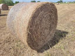 (50) Rolls of Hay (50 x's the $Money or Choice of Quanity)