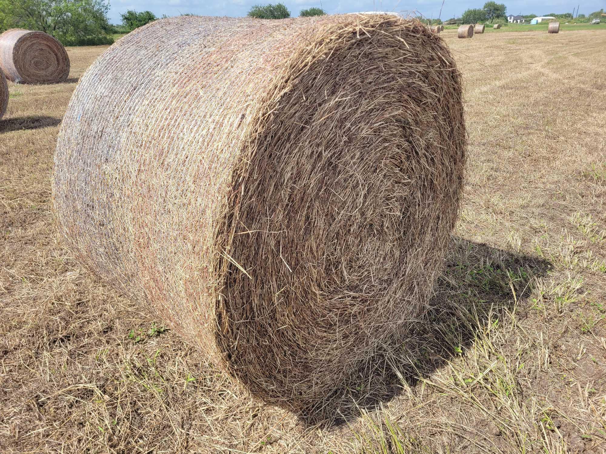 (50) Rolls of Hay (50 x's the $Money or Choice of Quanity)