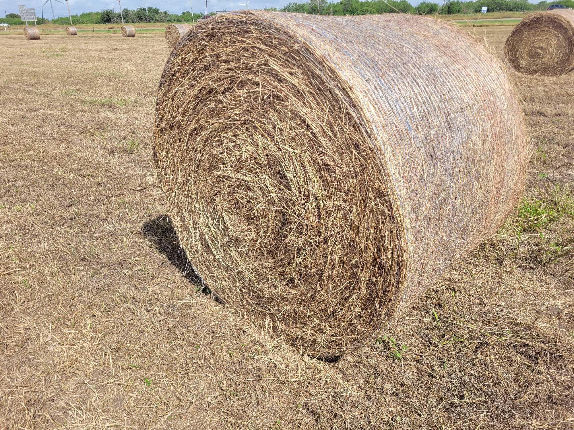 (50) Rolls of Hay (50 x's the $Money or Choice of Quanity)