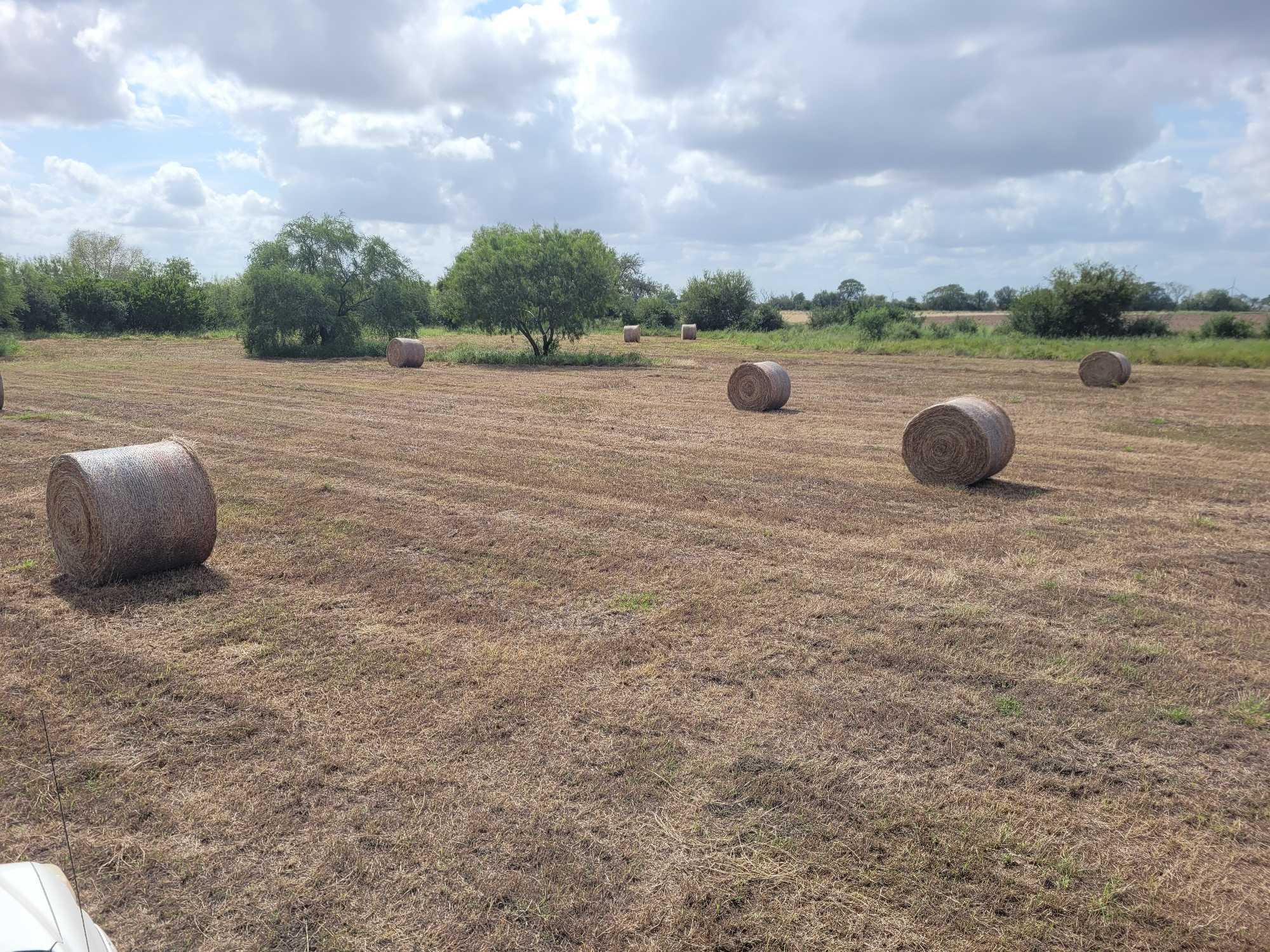 (50) Rolls of Hay (50 x's the $Money or Choice of Quanity)