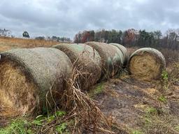 4 X 5 GRASS HAY, NET WRAP, BUYER TO LOAD - WALLACE