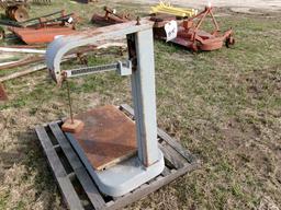 PLATFORM SCALES