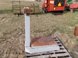 PLATFORM SCALES