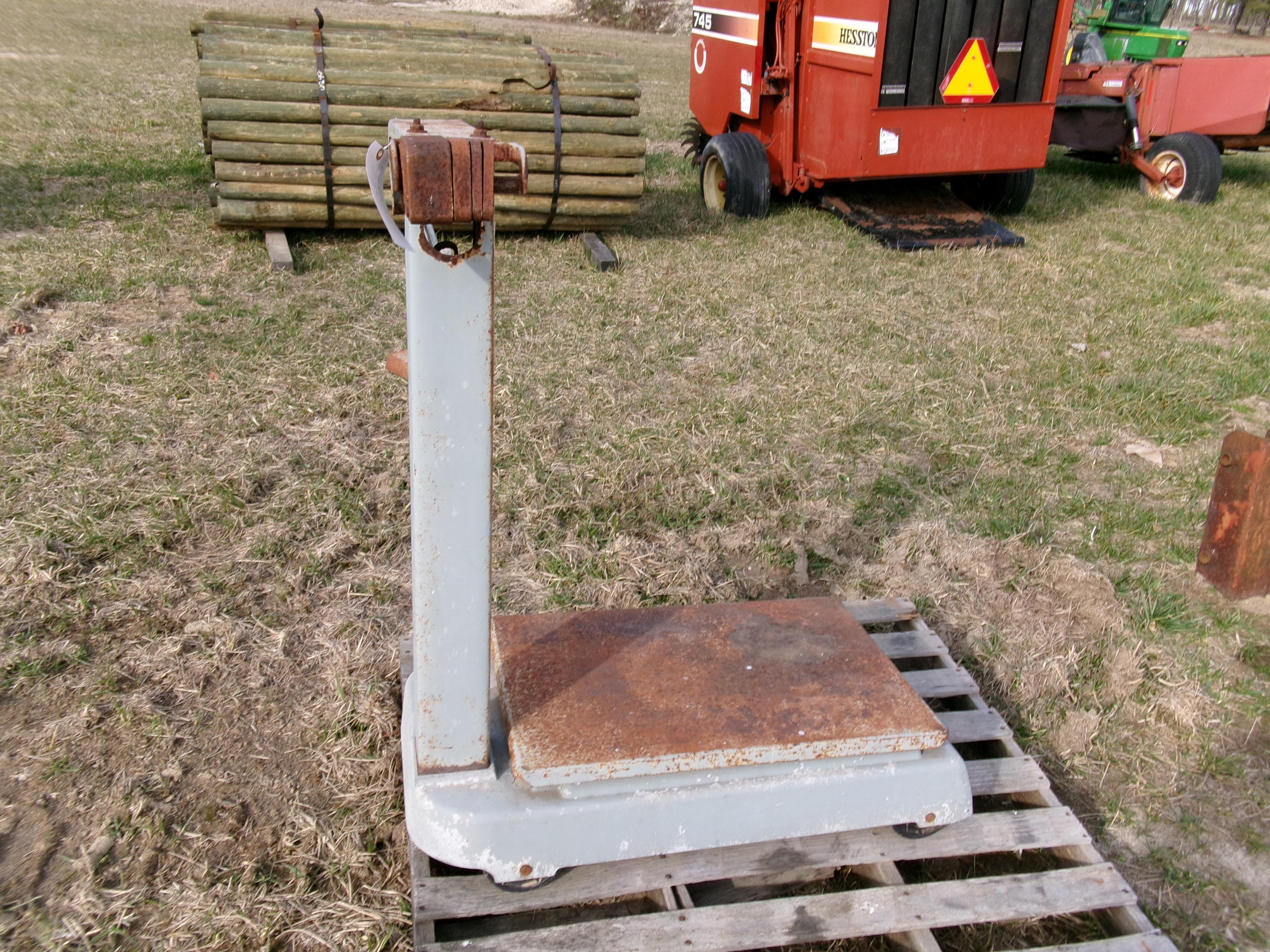 PLATFORM SCALES