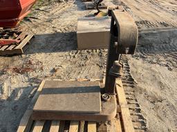 PLATFORM SCALES