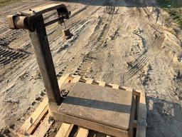 PLATFORM SCALES