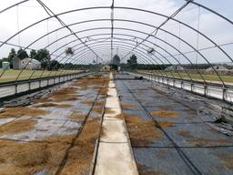 300' X 36' CAROLINA GREENHOUSE WITH HEATERS, FANS, AND A MOWER BOOM