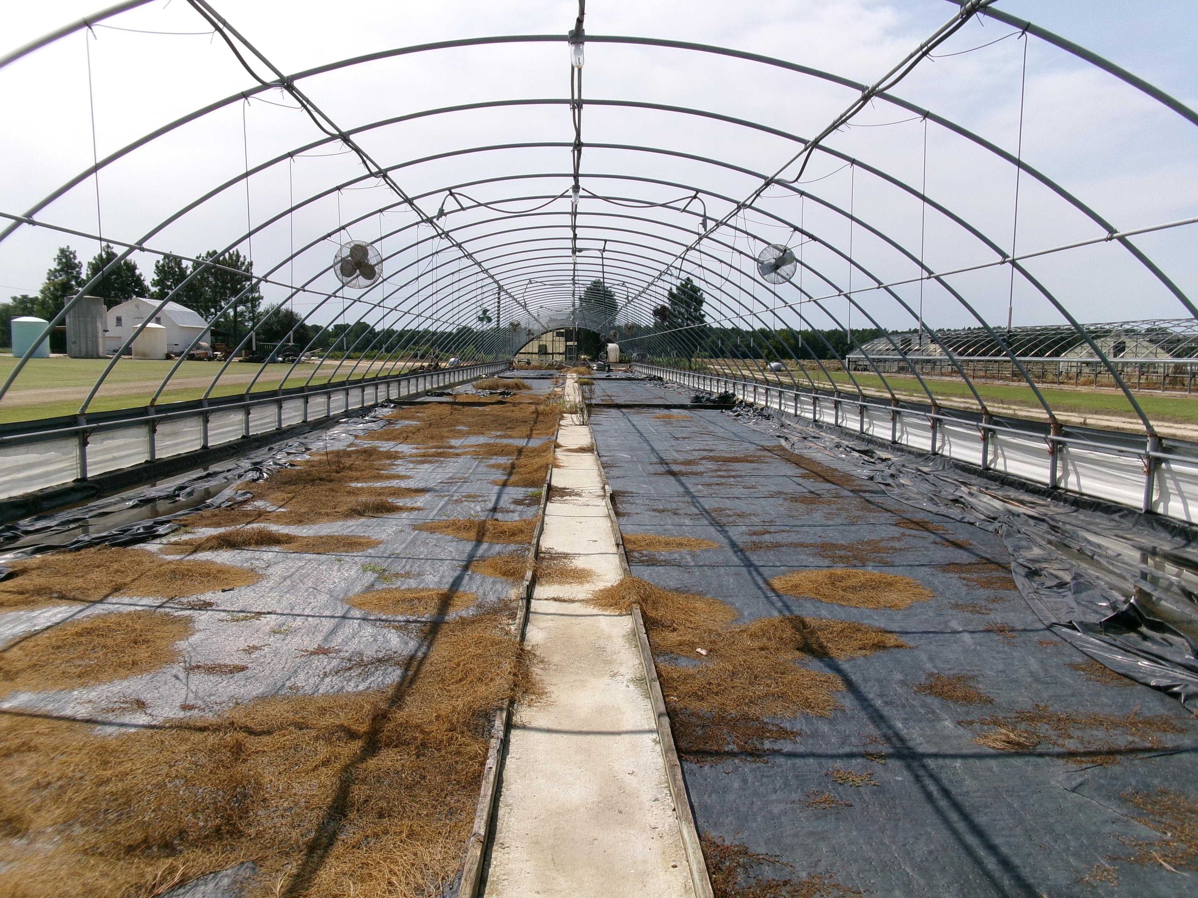 300' X 36' CAROLINA GREENHOUSE WITH HEATERS, FANS, AND A MOWER BOOM